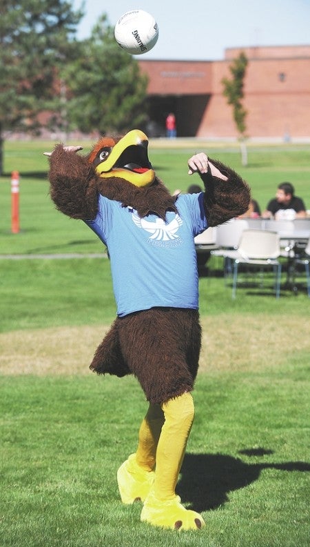 Frankie the Falcon playing volleyball