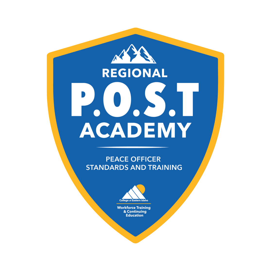 CEI POST Academy Logo