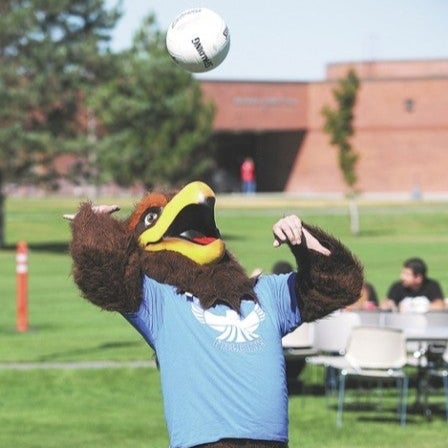Frankie Playing Volleyball