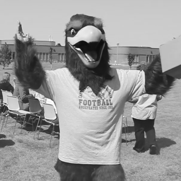 Picture of Frankie the Falcon on campus