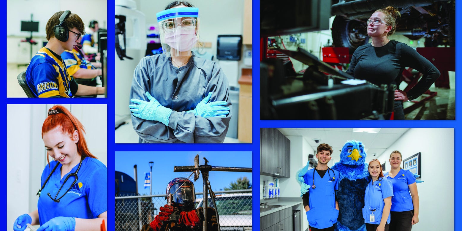 A collage of students learning and working.