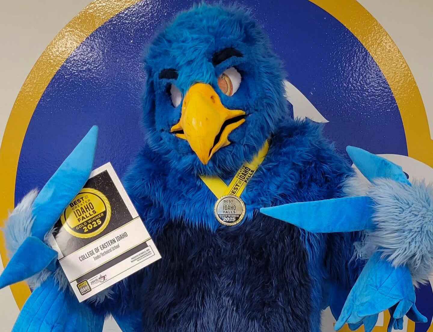 Photo of Frankie the Falcon 