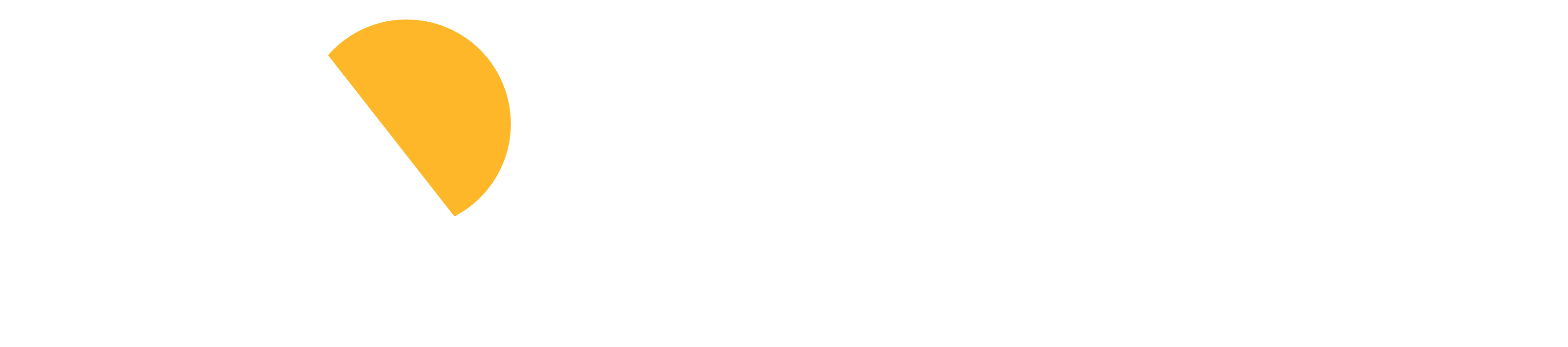 CEI Logo White PNG