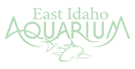 East Idaho Aquarium Logo
