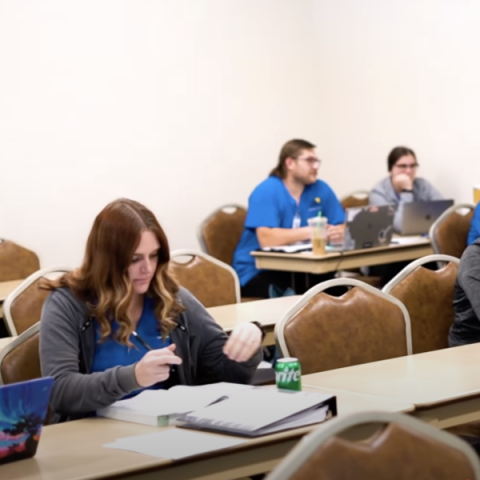 Students studying in class