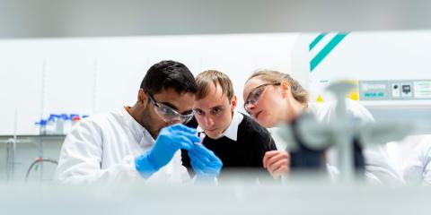 Scientists studying a sample