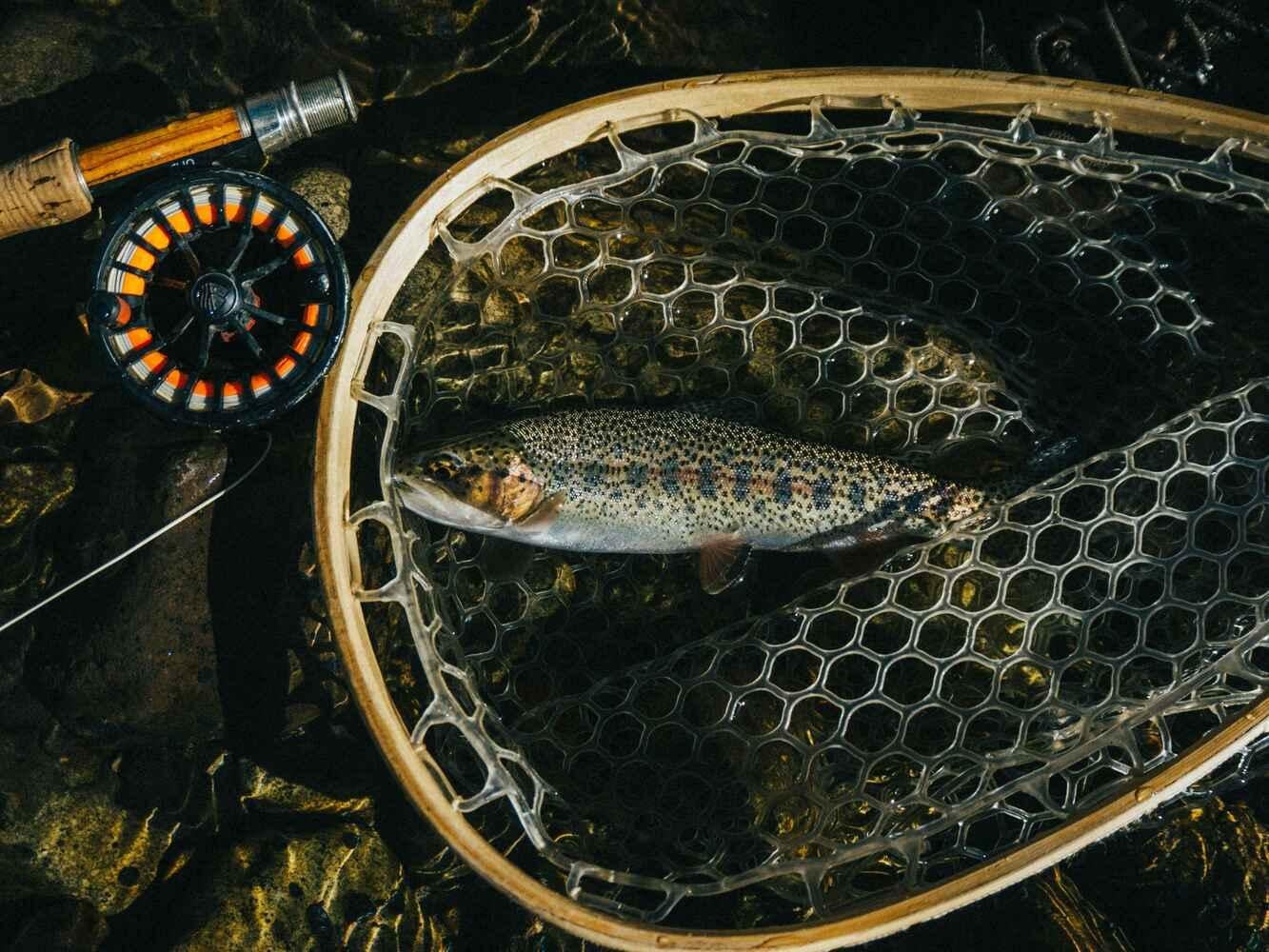 Falcon Fly Casters Club Picture