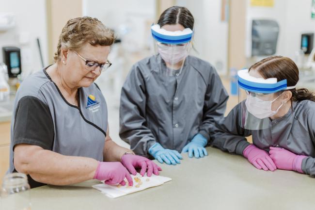 Dental Assisting Instruction