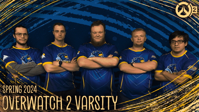 Overwatch 2 Team