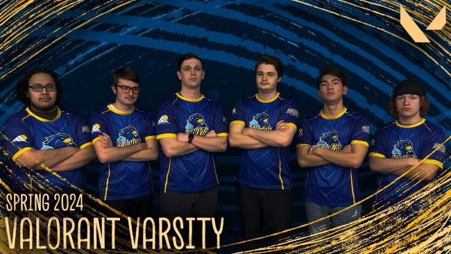 Valorant Team