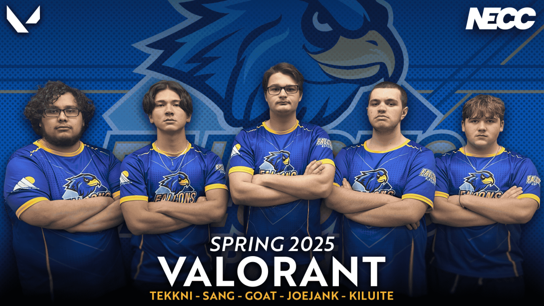 CEI Esports Valorant Spring 2025 Team