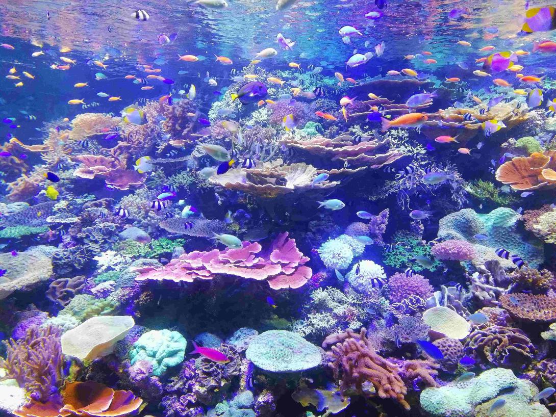 Stock photo of aquarium